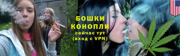 ешки Алексеевка