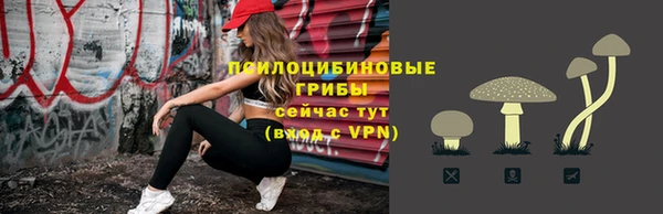 ешки Алексеевка