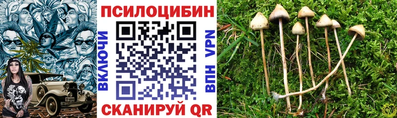 Псилоцибиновые грибы мицелий  Усть-Илимск 